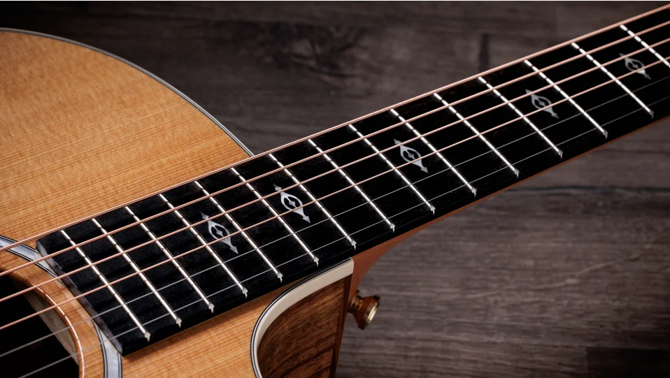 Taylor 214Koa アコースティックギター カッタウェイ Taylor-214ce-K DLX-2209114436-
